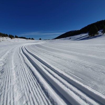 Prat Llong (Foto: Tuixent-la Vansa)
