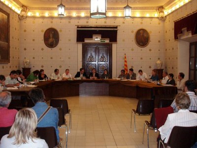 Ple Municipal de la Seu d'Urgell