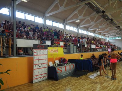 Públic al Campionat d'Espanya cadet i juvenil de patinatge