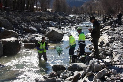 Rescat de truites a la Noguera Pallaresa, a Sort (Foto: ACN)