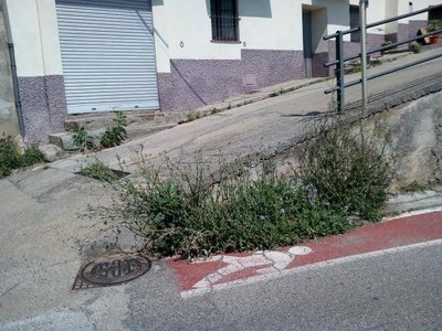 Acumulació d'herbes a l'entrada de Castellciutat (Foto: Amics de Castellciutat)