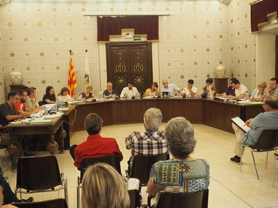 Ple de l'Ajuntament de la Seu