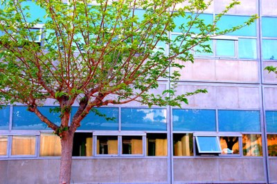 Institut Aubenç d'Oliana