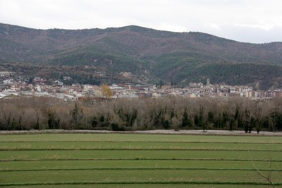 Camp a Peramola (Foto d'arxiu/ACN)