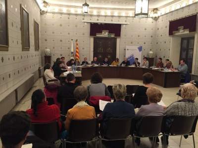 Ple municipal de la Seu d'Urgell