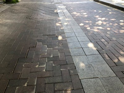 Estat del ferm al carrer de Fra Andreu Capella