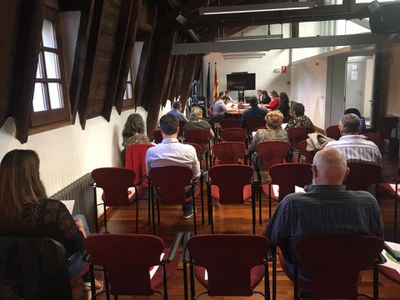 Ple del Consell Comarcal de l'Alt Urgell