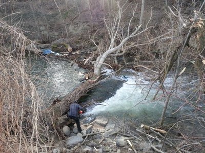 Retirada d'arbres al riu Valira a causa de la ventada