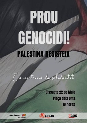 Concentració a la Seu en suport a Palestina