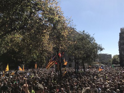 Concentració a Barcelona aquest dimecres al matí en protesta pels escorcolls a la Generalitat (Foto: ERC)