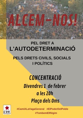 Concentració a la Seu pels drets civils polítics i socials (CDR Alt Urgell)