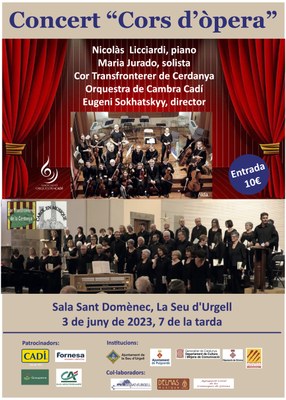 Concert a la Seu d'Urgell de l'Orquestra de Cambra Cadí i el Cor Transfronterer de Cerdanya 