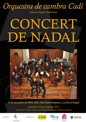 Concert de Nadal de l'Orquestra de Cambra Cadí