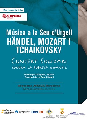 Concert Solidari a la Seu