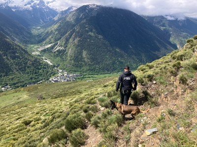 Agents de Medi Ambient del Conselh Generau inspeccionen la zona de Naut Aran on hi ha hagut un atac mortal de l'ós contra el bestiar (Foto: CGA)