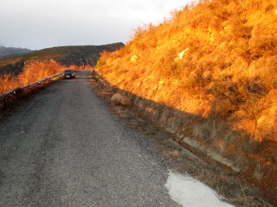 Vilanova de Banat - Carretera (04.2014)