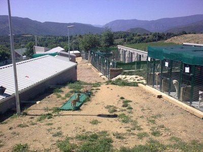 Refugi d'Animals de Benavarre (Foto: CCAU)