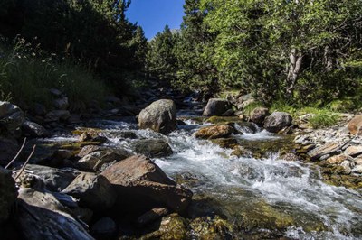 Millora als rius d'Andorra (Foto: Visit Andorra)
