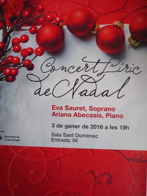 Concert líric de Nadal a la Seu