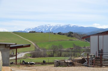 Explotació agrària (Foto: Gencat)