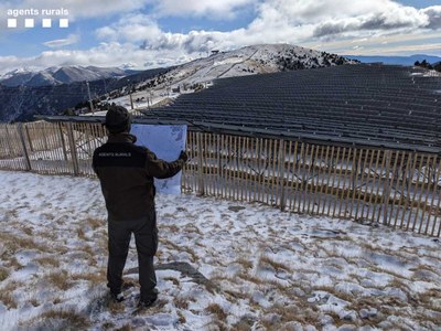 Un membre dels Agents Rurals observa el parc solar impulsat a la zona fronterera amb Andorra, a prop del poble d'Os de Civís (Foto: Agents Rurals)