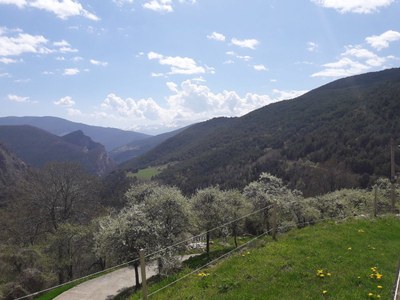 Solanell (Foto: arxiu)
