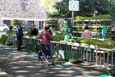 Gent gran comprant al mercat setmanal de la Seu, instal·lat provisionalment al passeig Joan Brudieu