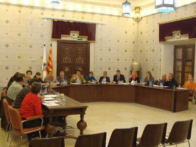 Ple Municipal de la Seu - Novembre 2010