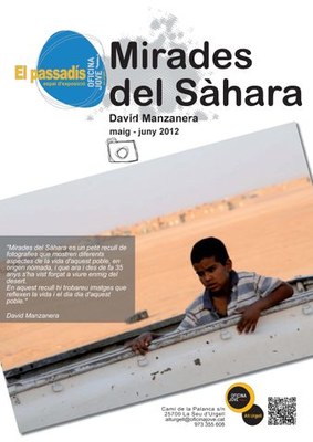 David Manzanera - Cartell Exposició Sàhara