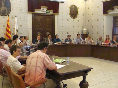 Ple Juliol 2010
