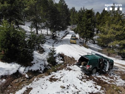 Denúncia a un grup d'aficionats a l'esquí de muntanya a la Cerdanya (Foto: Agents Rurals)