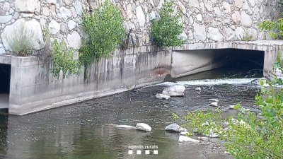 Imatge de detall de l'entorn d'una central hidroelèctrica inspeccionada pels Agents Rurals