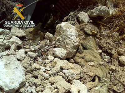 Restes d'un animal en descomposició localitzades pel Seprona en una granja de Figuerola d'Orcau