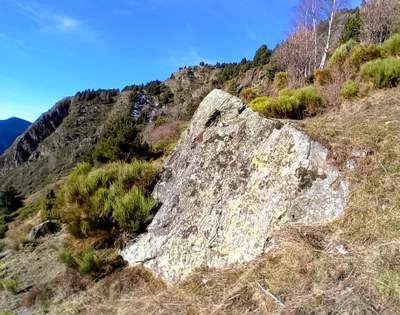 Roca Encantada a l'Aldosa de Canillo (Foto: Jordi Casamajor)