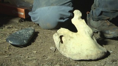 Restes humanes i eines trobades a la Cova de l'Home Mort, a la Vall de Siarb (Foto: ACN)