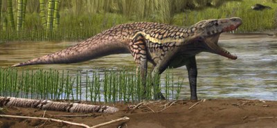 Reconstrucció artística d'un arcosauromorf (Oscar Sanisidro / ICP Miquel Crusafont)