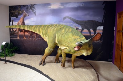 Recreació escultòrica d'un exemplar de 'P. Isonensis', al Museu de la Conca Dellà (Foto: Pere Figuerola / ICP)