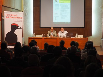 Jornada a la Seu sobre la gestió del llop