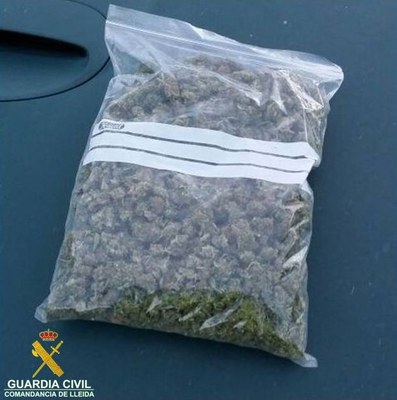 Marihuana - Guàrdia Civil