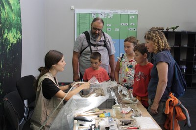 Treball de restauració a Dinosfera (Foto: ACN)