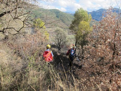 Bombers - Foc Vinyets d'Organyà