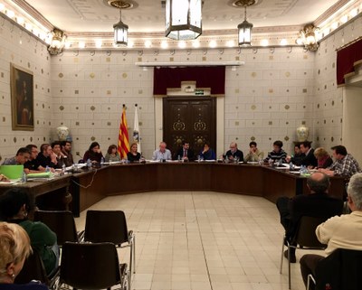 Ple municipal de la Seu d'Urgell
