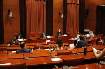 Diputació Permanent del Parlament del dia 11 d'agost de 2020 (Foto: ACN)