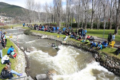 Segre Cup 2013