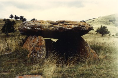 Dolmen de Biscarbó (Foto: Consell Comarcal de l'Alt Urgell)