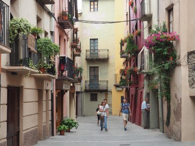 Carrer dels Canonges de la Seu d'Urgell