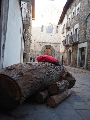 Tió gegant al carrer dels Canonges, davant de la Catedral de la Seu