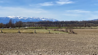 Una part dels terrenys de Llívia on es durà a terme el Cerdanya Music Festival (Foto: ACN)