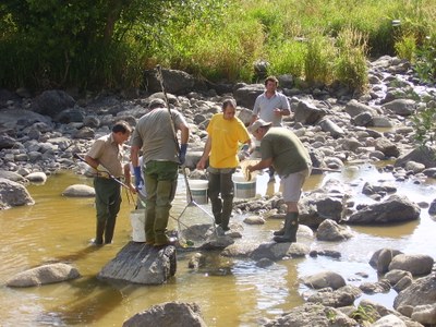 Rescat de truites al Segre