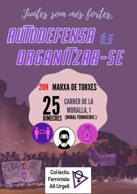 Marxa de torxes pel 25-N a la Seu